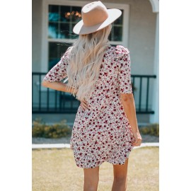 Puff Sleeve A-line Floral Print Mini Dress